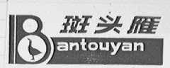 斑头雁