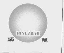 炳照