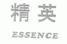 精英;ESSENCE