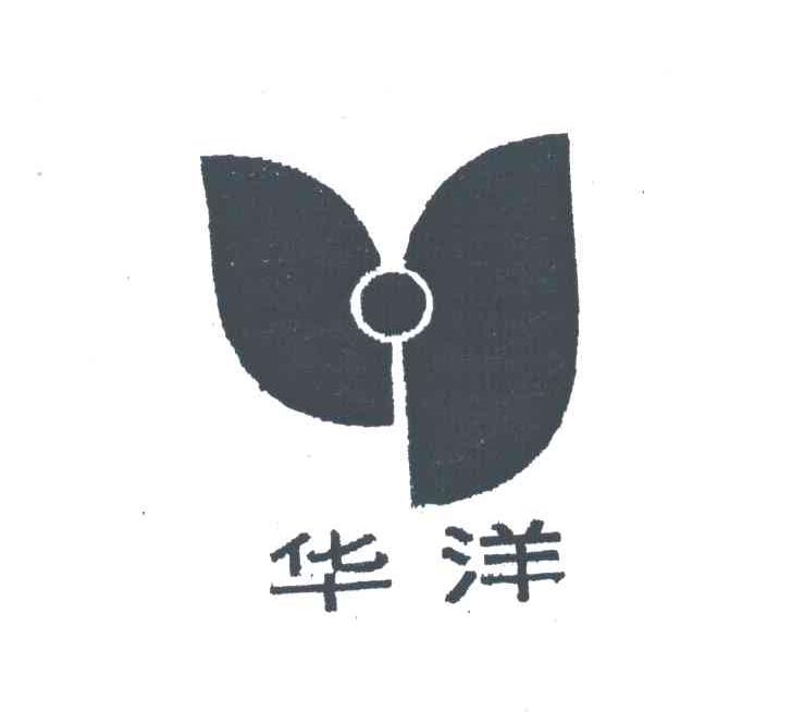 华洋