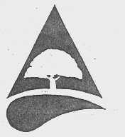 图形