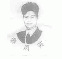 鲁凤英