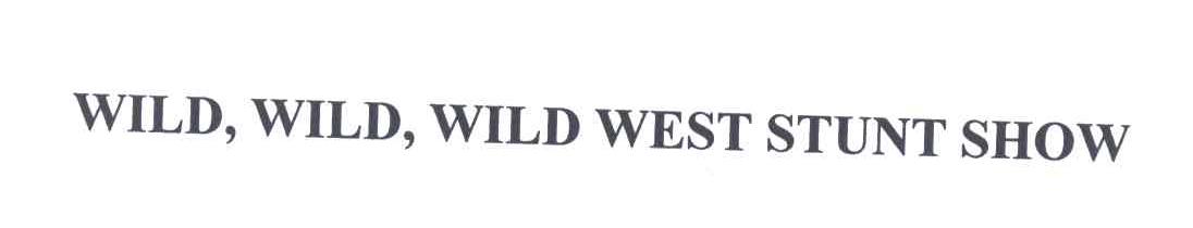 WILD，WILD，WILD WEST STUNT SHOW