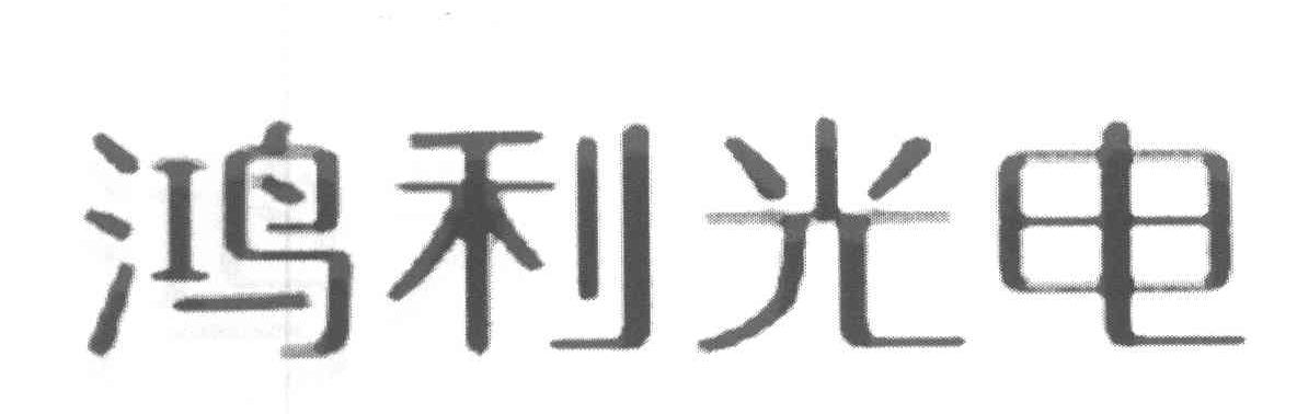 鸿利光电