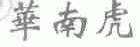 华南虎