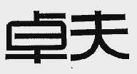 卓夫