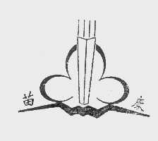 苗康