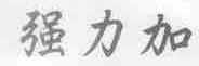 强力加