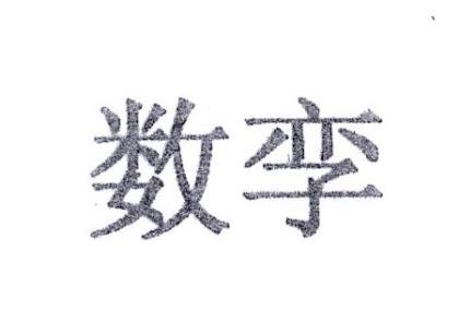 数孪