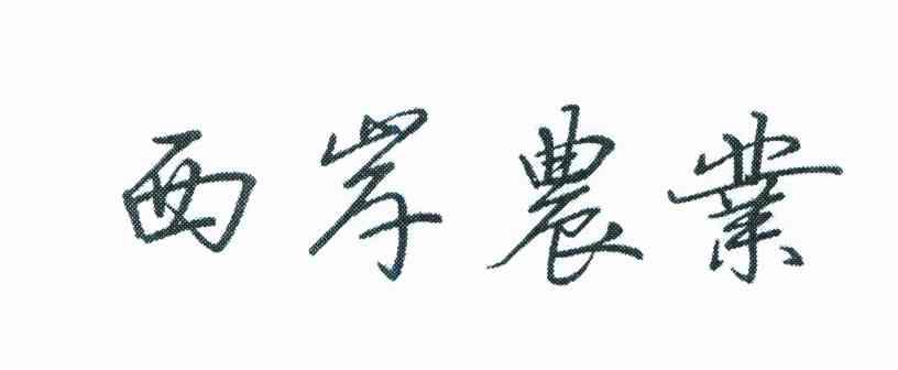 西岸农业