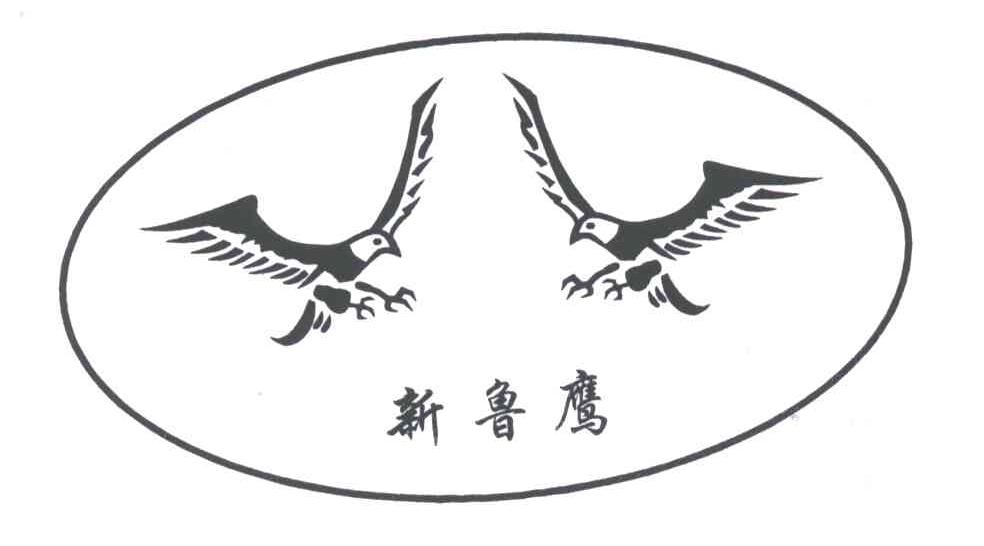 新鲁鹰