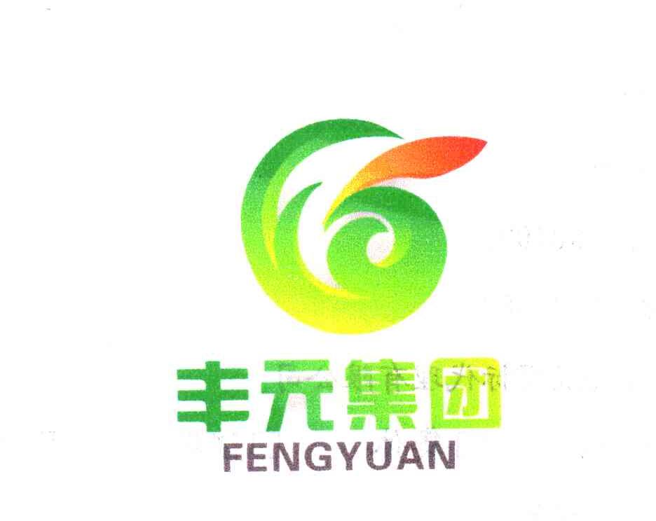 丰元集团 FENGYUAN