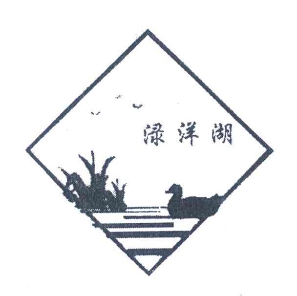 渌洋湖
