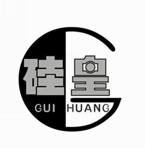 硅皇 G