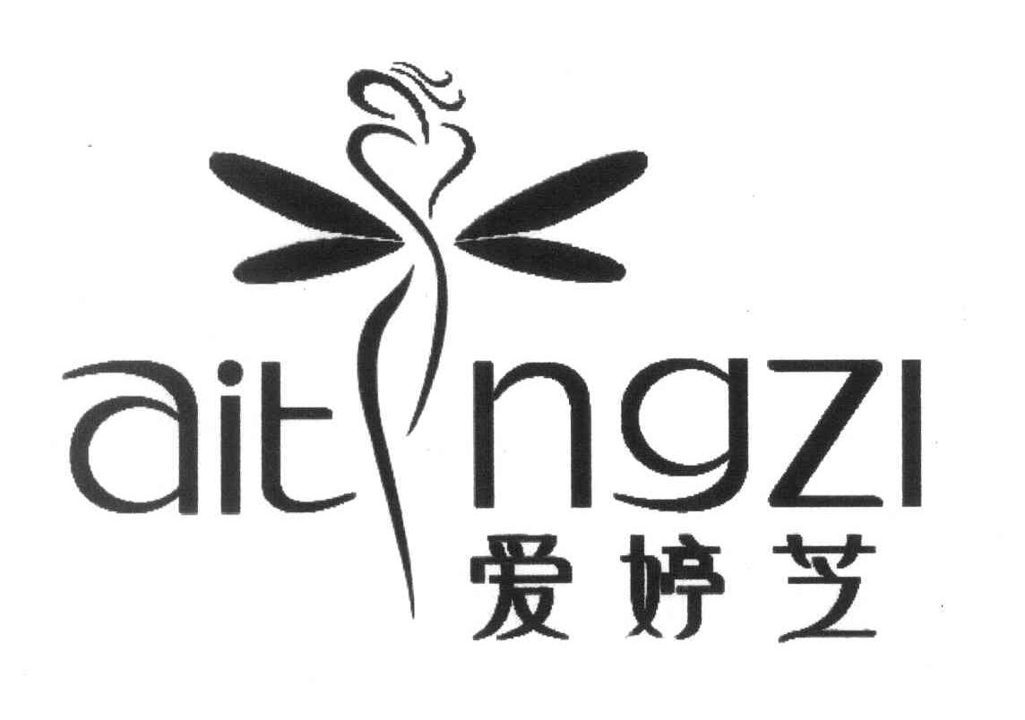 爱婷芝 AITNGZI