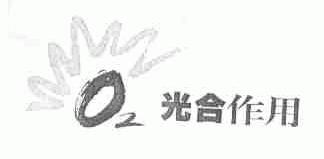光合作用
