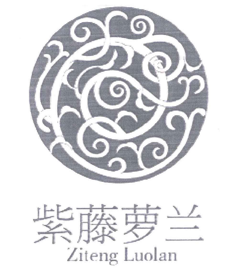紫藤萝兰