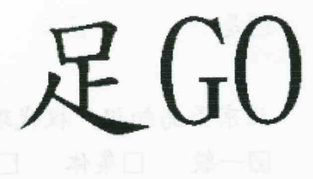 足GO