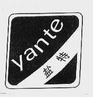 盐特