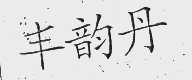 丰韵丹