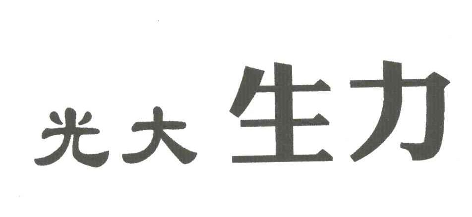 光大生力