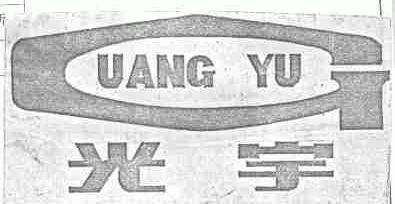 光宇