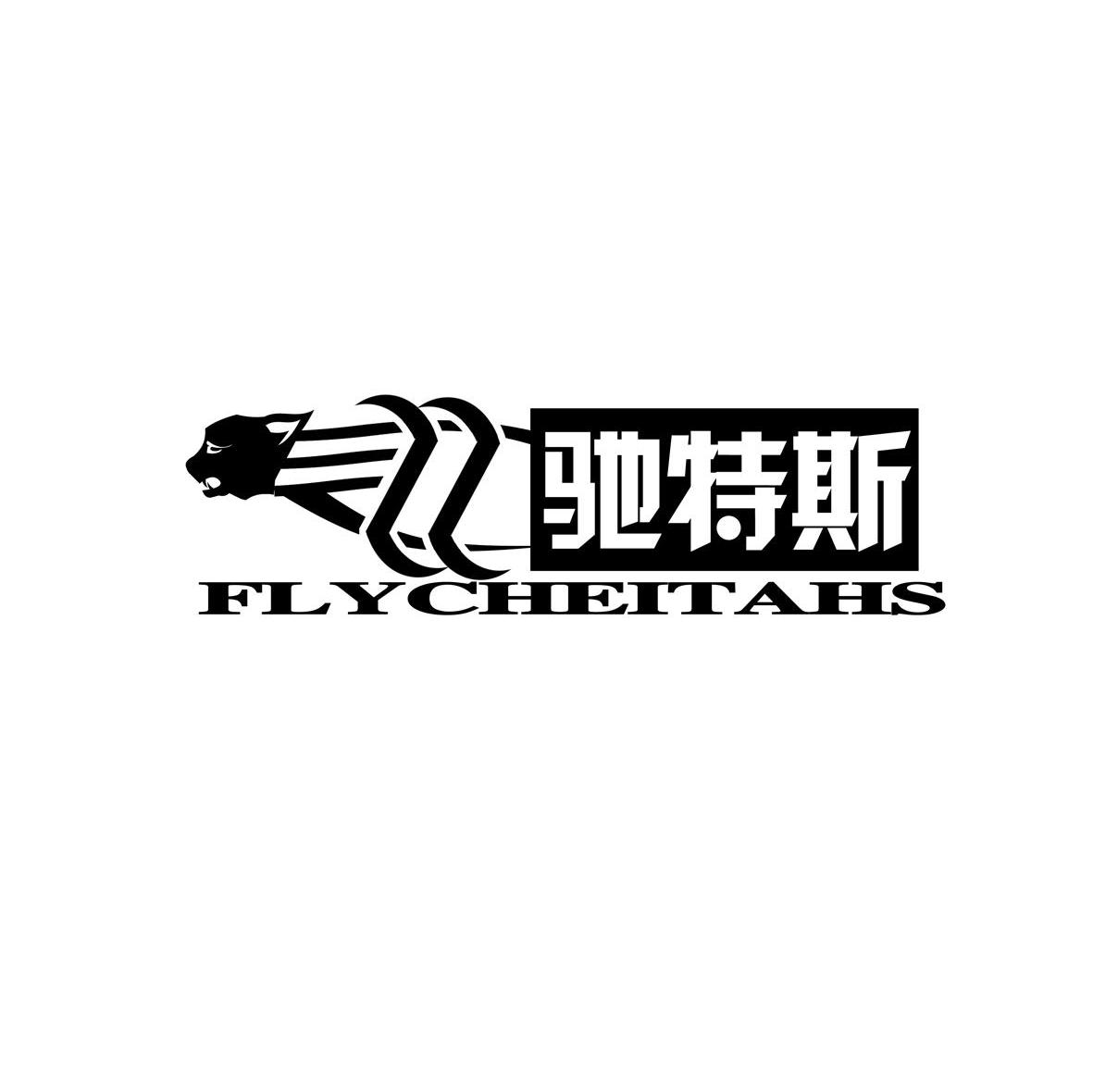 驰特斯 FLYCHEITAHS
