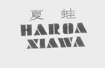 夏蛙   HAROA