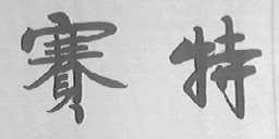赛特
