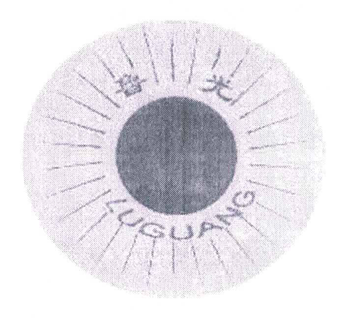 鲁光