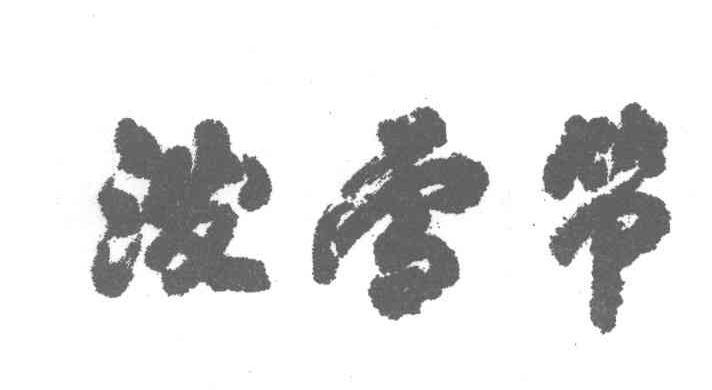 泼雪节