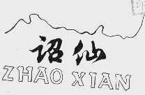诏仙