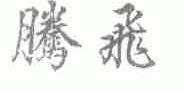 腾飞