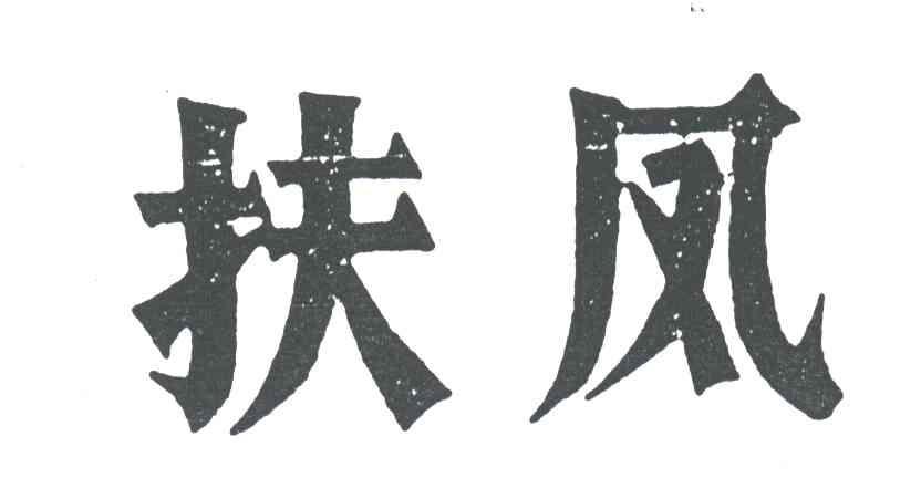 扶凤