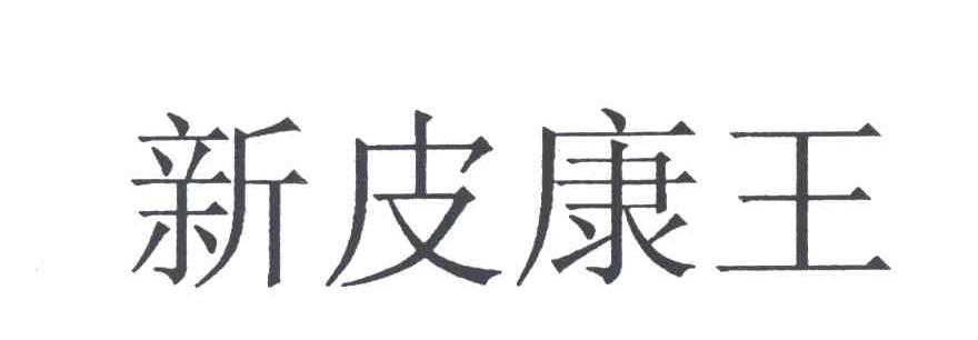 新皮康王