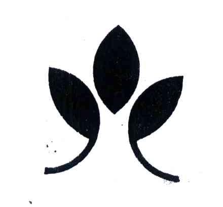 图形
