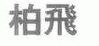 柏飞