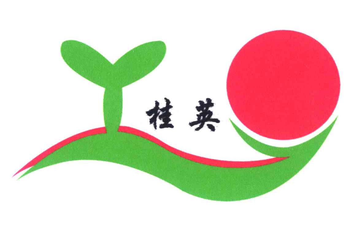 桂英
