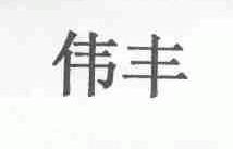 伟丰