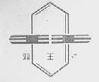 双王