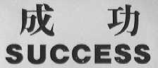 SUCCESS