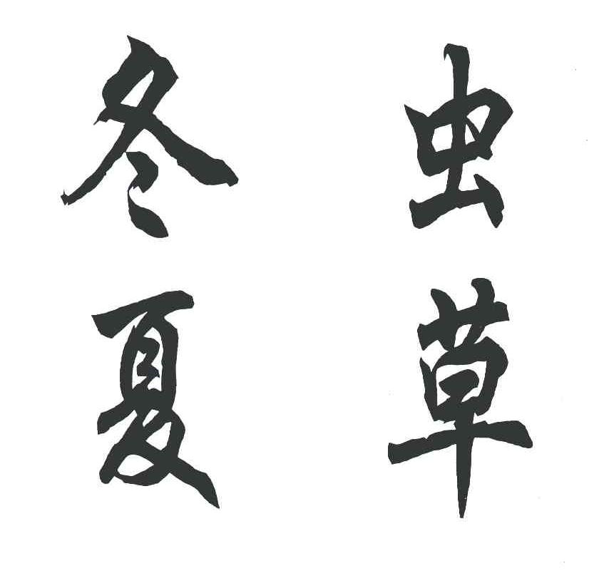 冬虫夏草