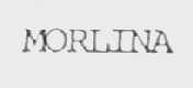 MORLINA