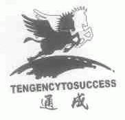 通成;TENGENCYTOSUCCESS