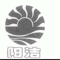 阳洁