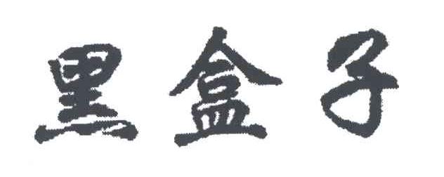 黑盒子