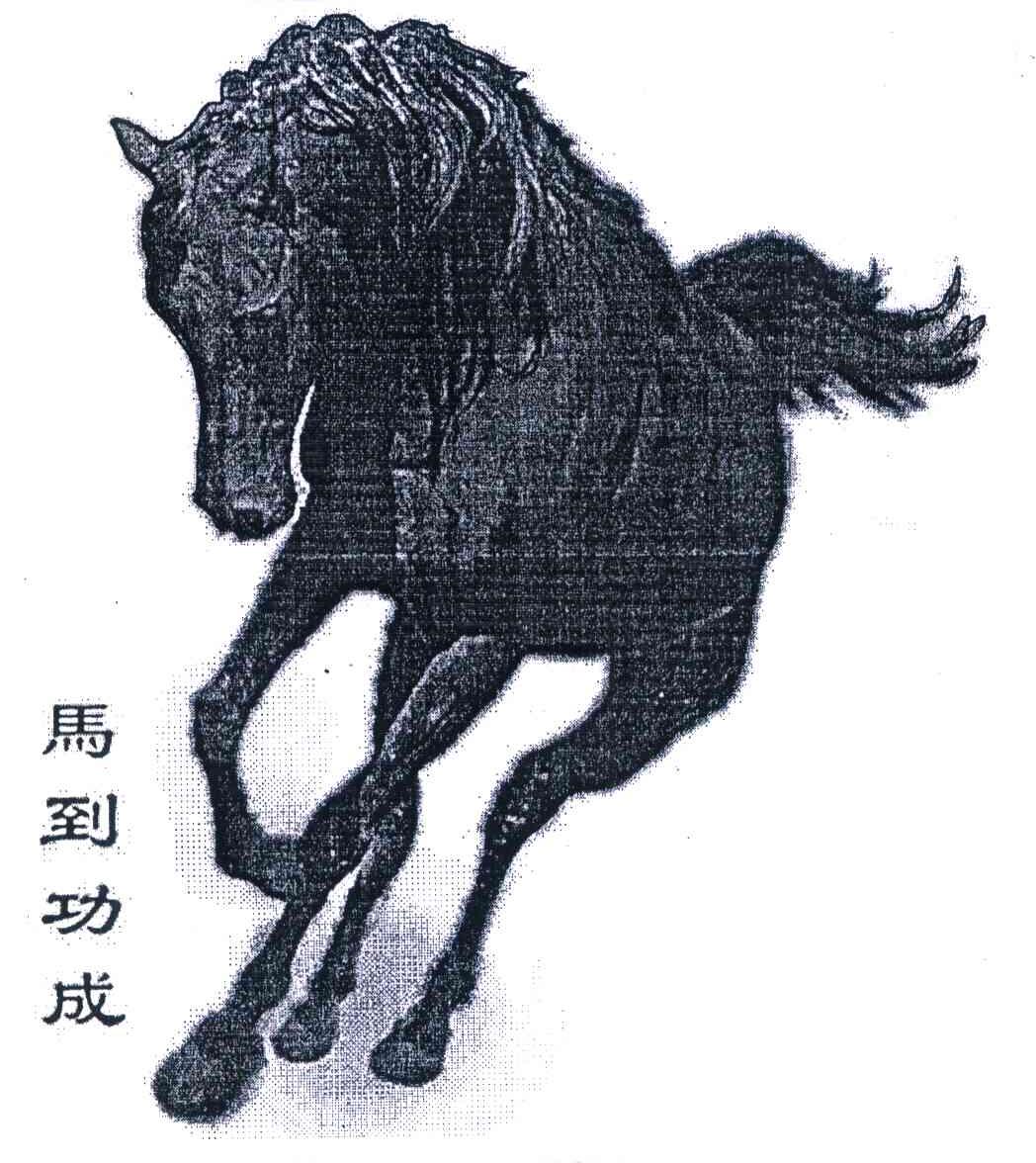 马到功成