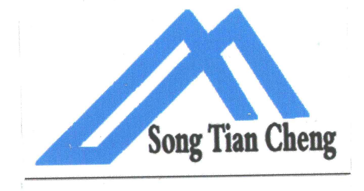 SONG TIAN CHENG