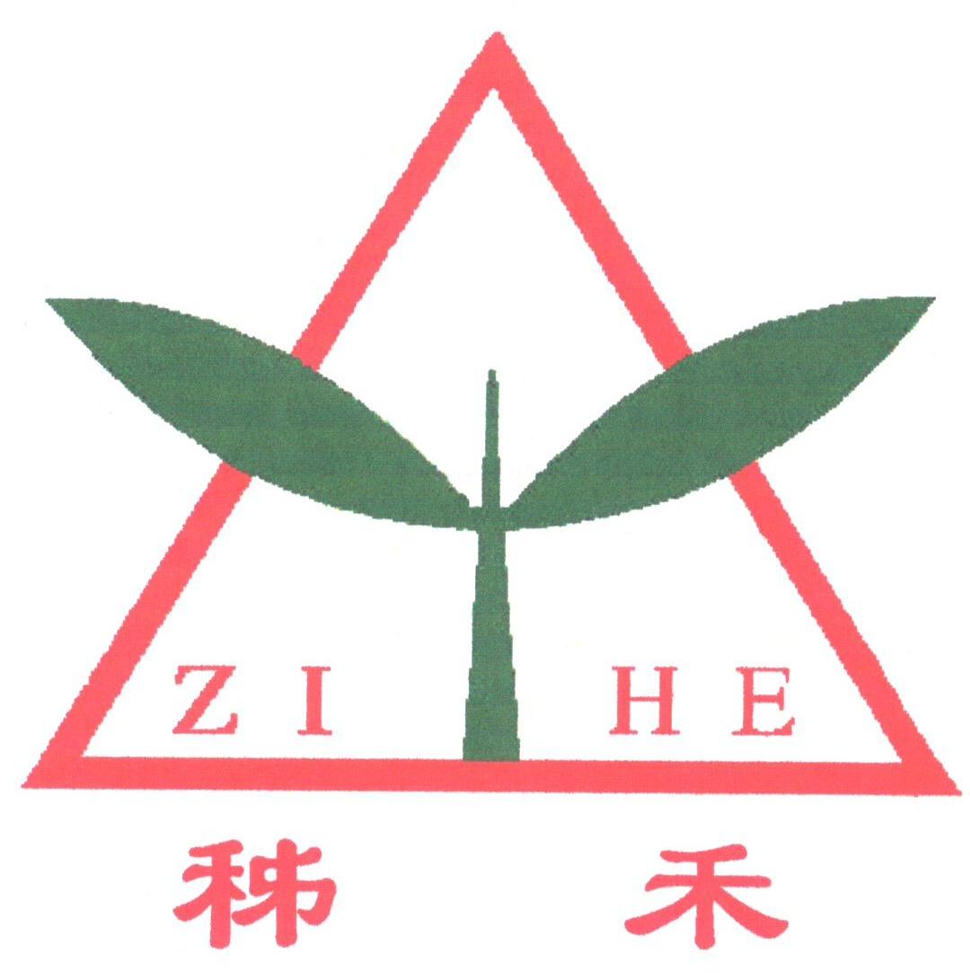 姊禾