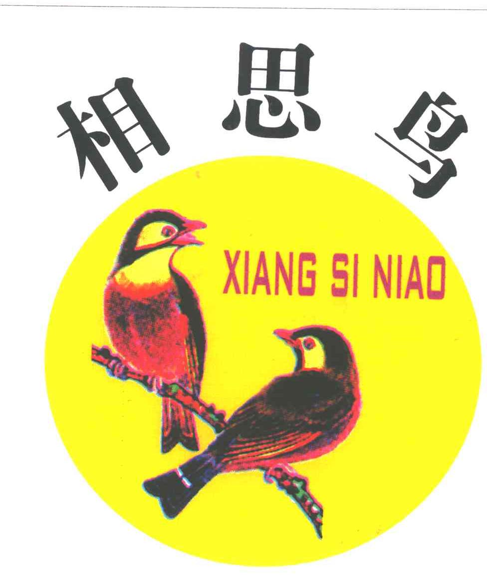 相思鸟及图